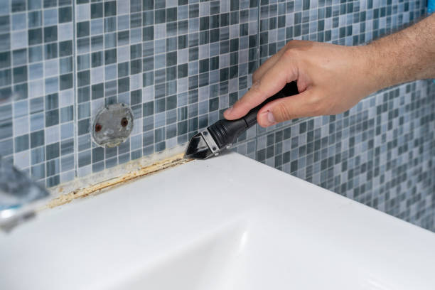 Best Post-Flood Mold Remediation in Tobaccoville, NC